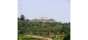 வெள்ளிமலை - நாகர்கோவில்